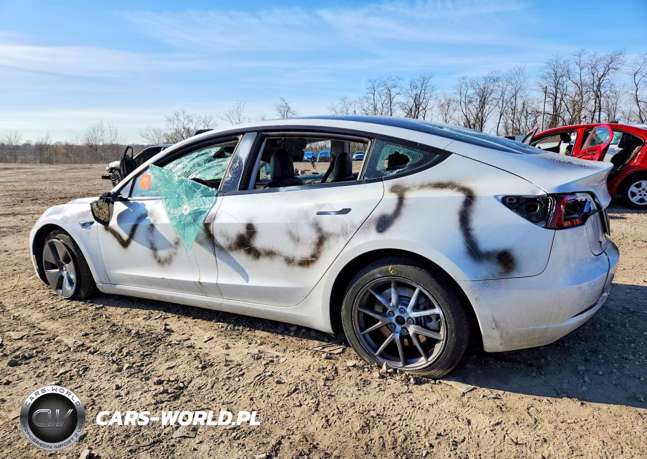 2021 Tesla Model 3 VIN:5YJ3E1EA5MF987062 - 2