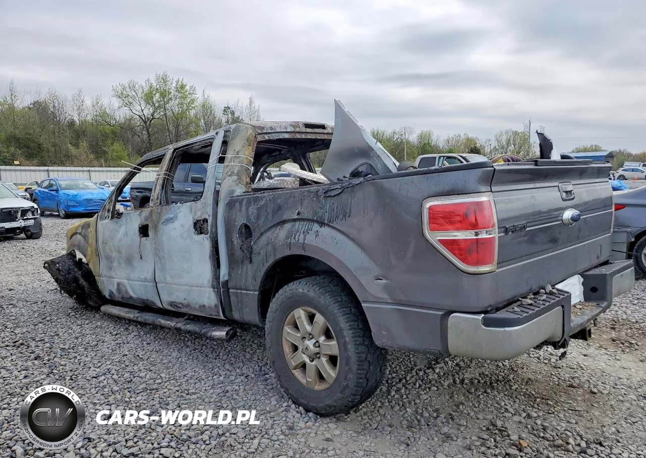 2014 Ford F150 Supercrew VIN:1FTEW1CM5EKE50215 - 2