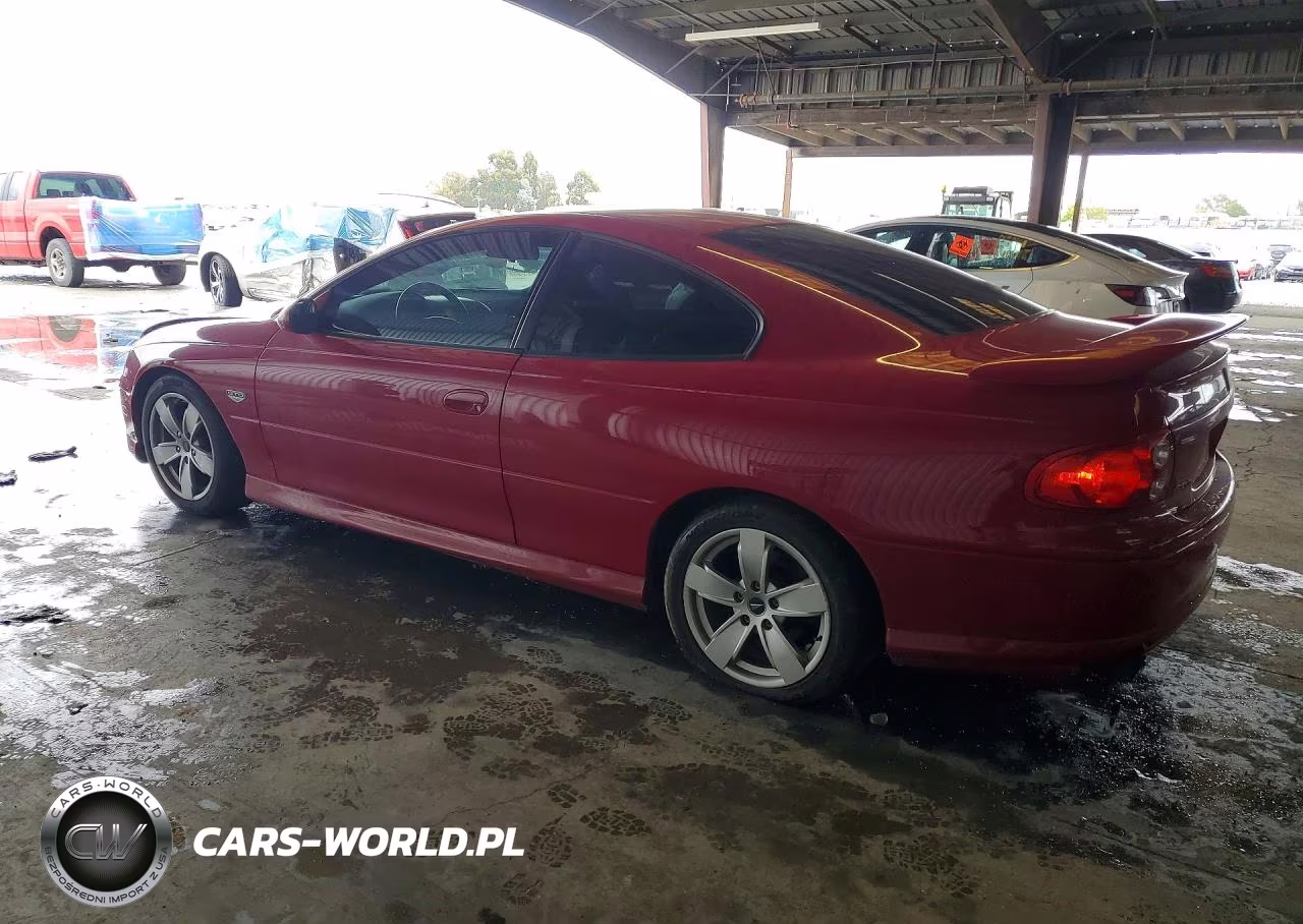 2004 Pontiac Gto VIN:6G2VX12G94L316784 - 2