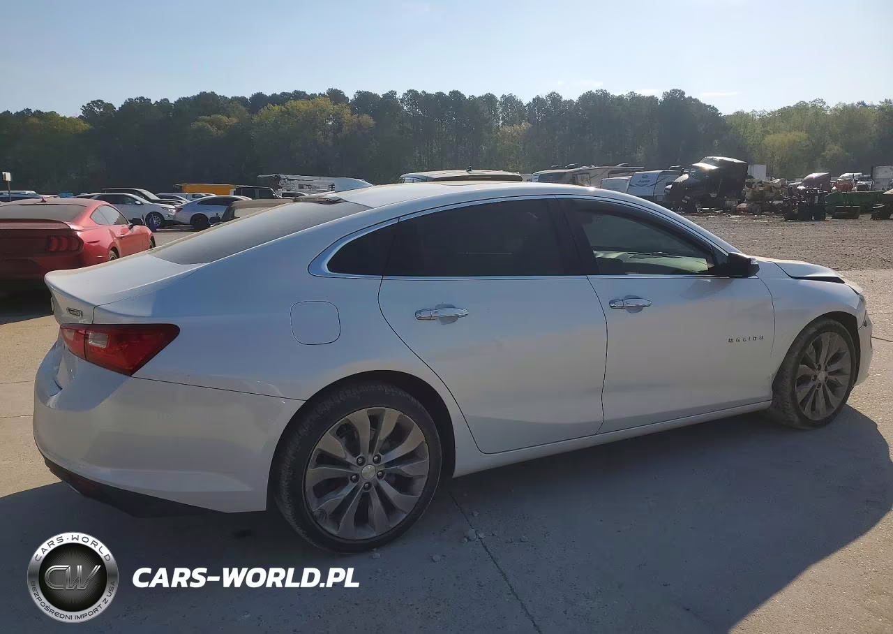 2018 Chevrolet Malibu Premier VIN:1G1ZE5SX3JF101640 - 3