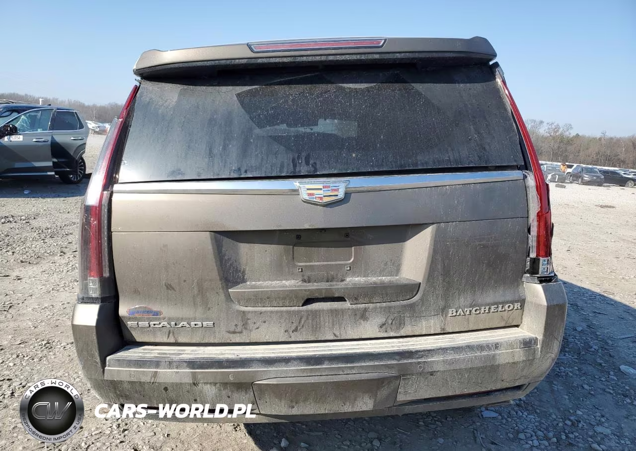 2016 Cadillac Escalade Luxury VIN:1GYS3BKJ3GR339661 - 6