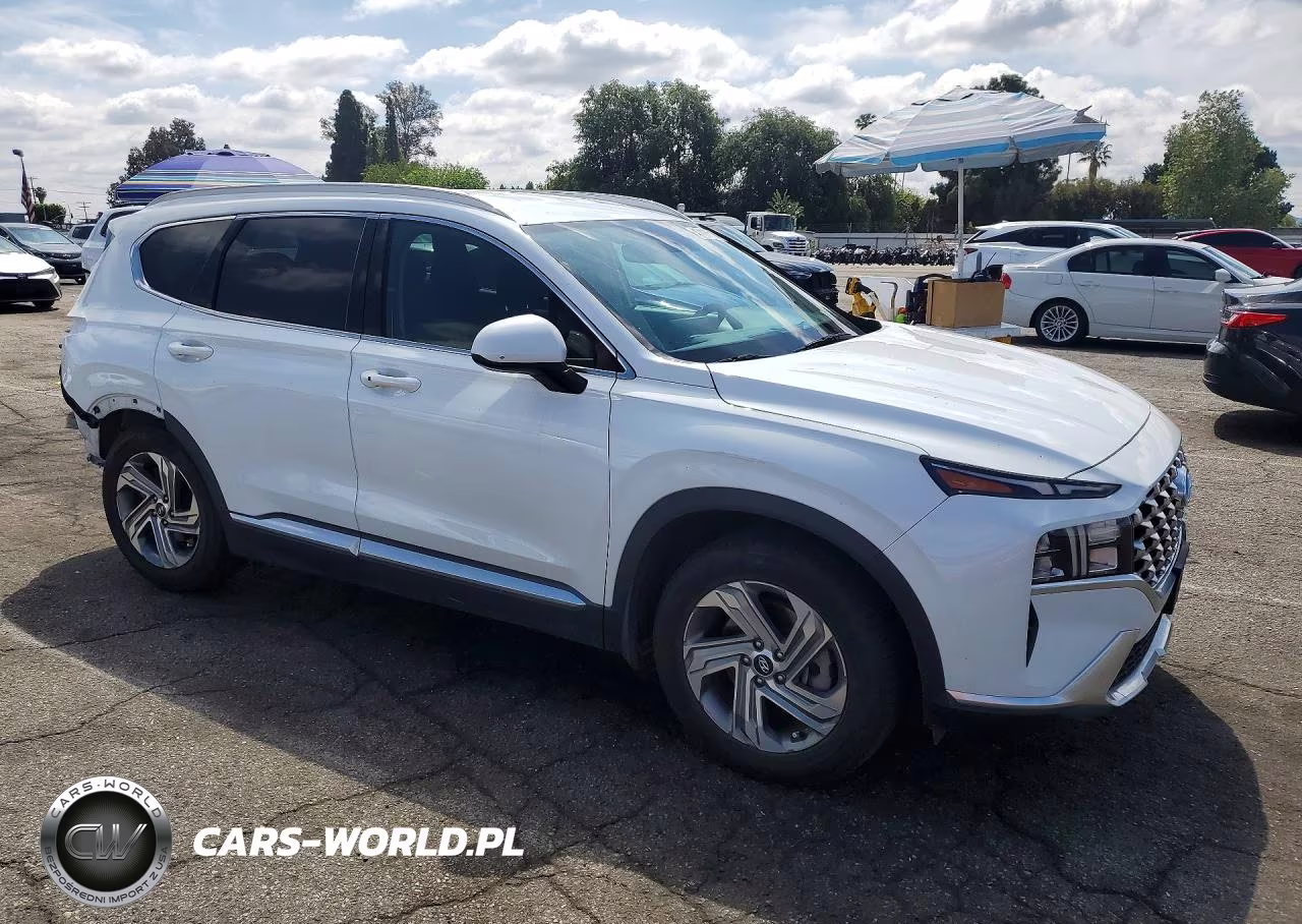 2021 Hyundai Santa Fe Sel VIN:5NMS24AJ9MH331070 - 4