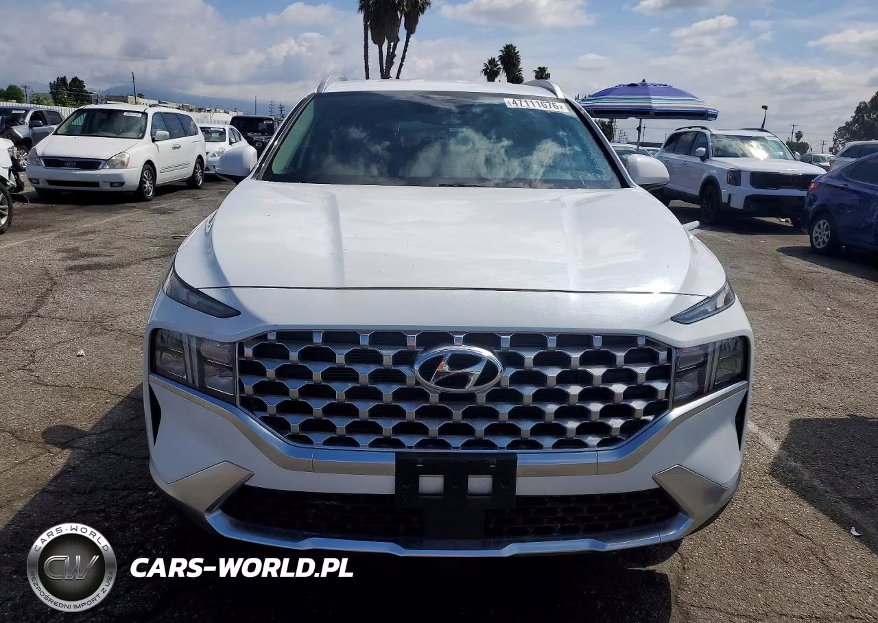 2021 Hyundai Santa Fe Sel VIN:5NMS24AJ9MH331070 - 5