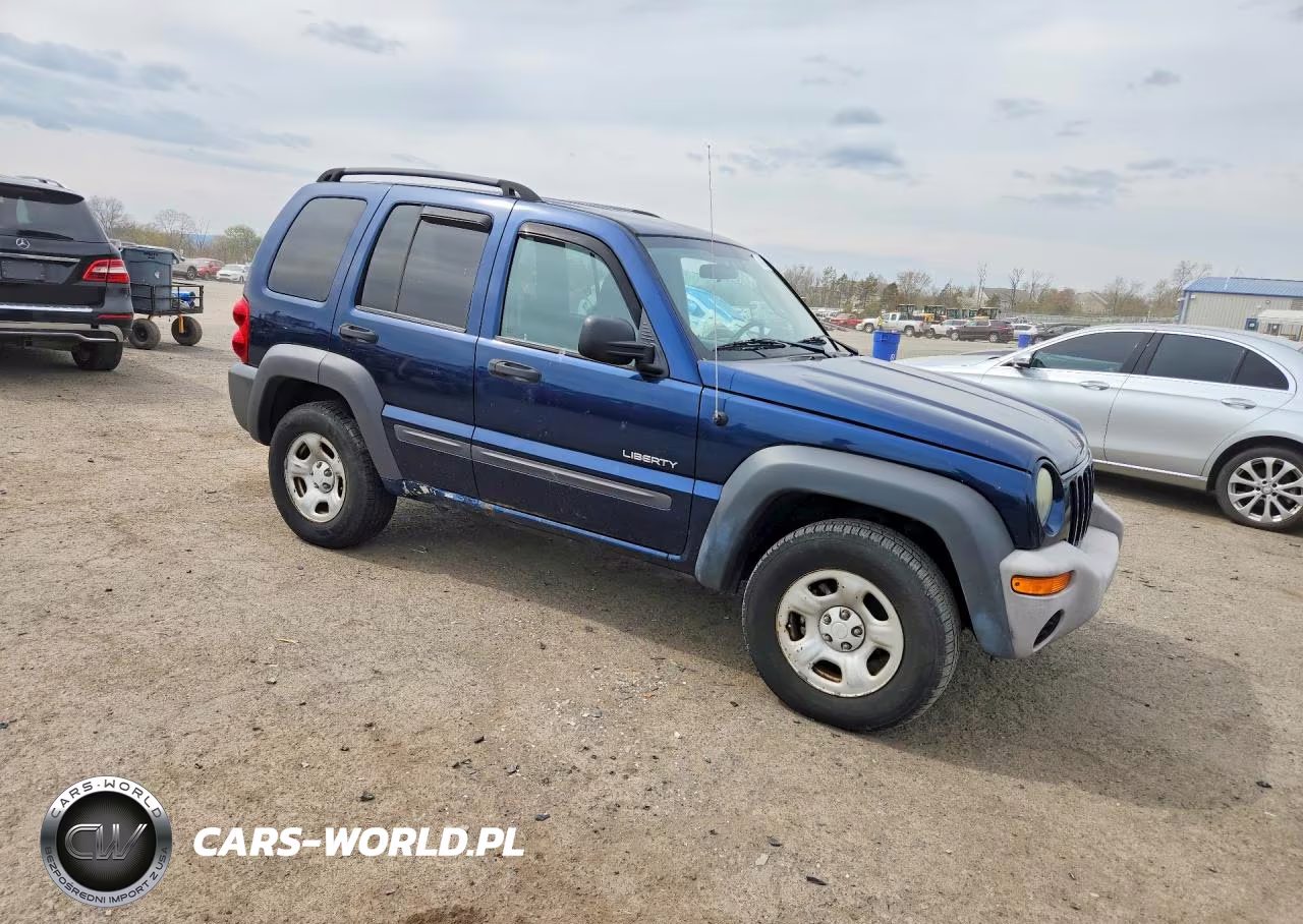 2004 Jeep Liberty Sport VIN:1J4GL48K04W258650 - 4