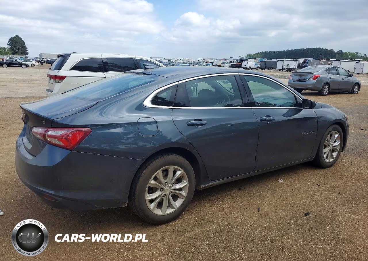 2019 Chevrolet Malibu Lt VIN:1G1ZD5ST3KF157627 - 3