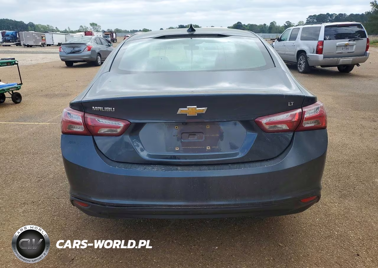 2019 Chevrolet Malibu Lt VIN:1G1ZD5ST3KF157627 - 6