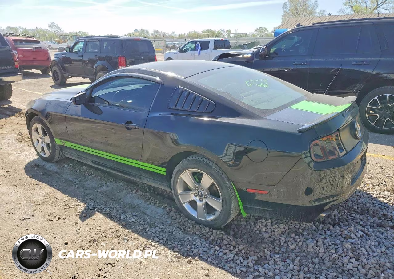 2014 Ford Mustang VIN:1ZVBP8AM1E5250973 - 2