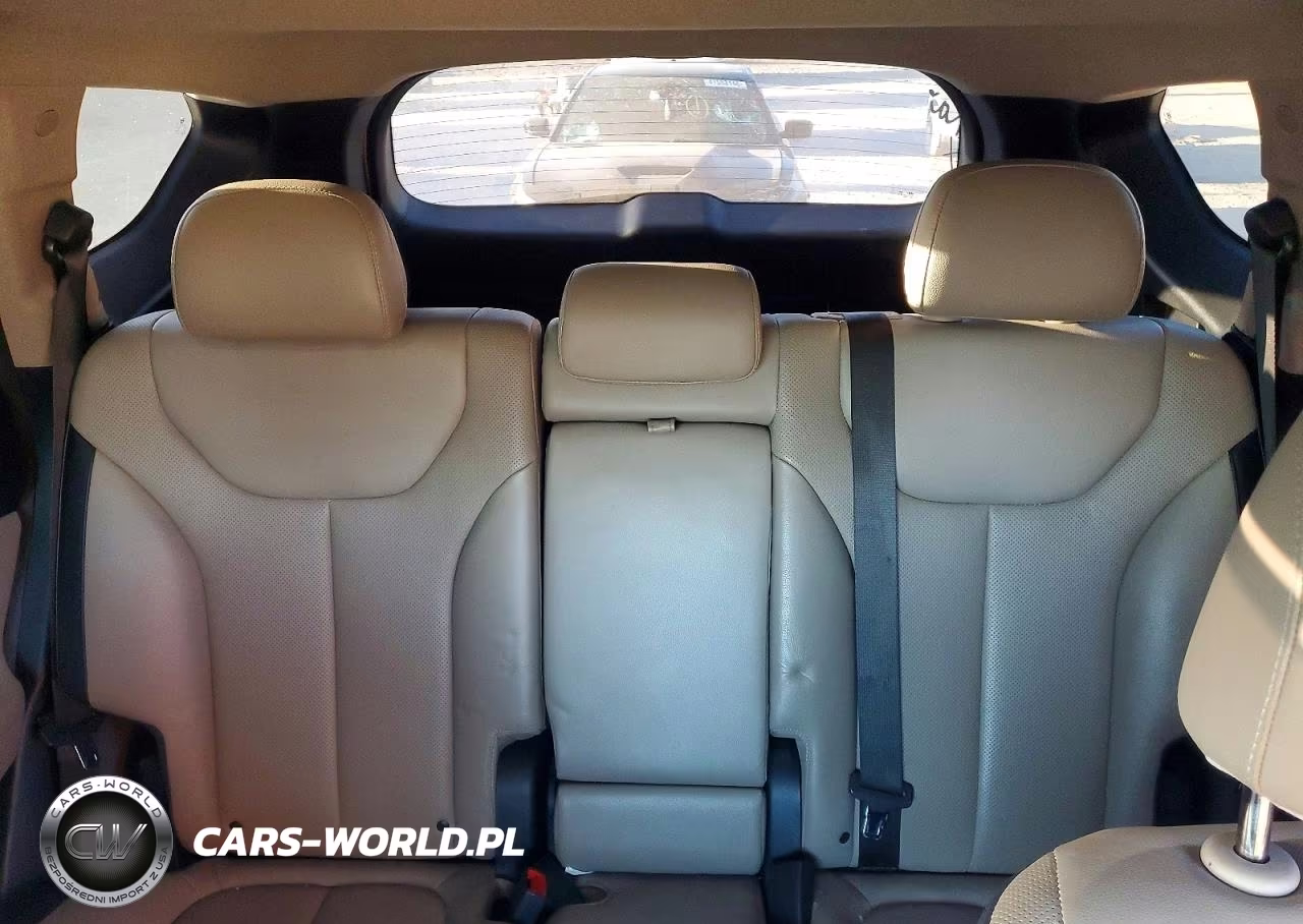 2020 Hyundai Santa Fe Limited 2.0T VIN:5NMS53AA0LH289677 - 10