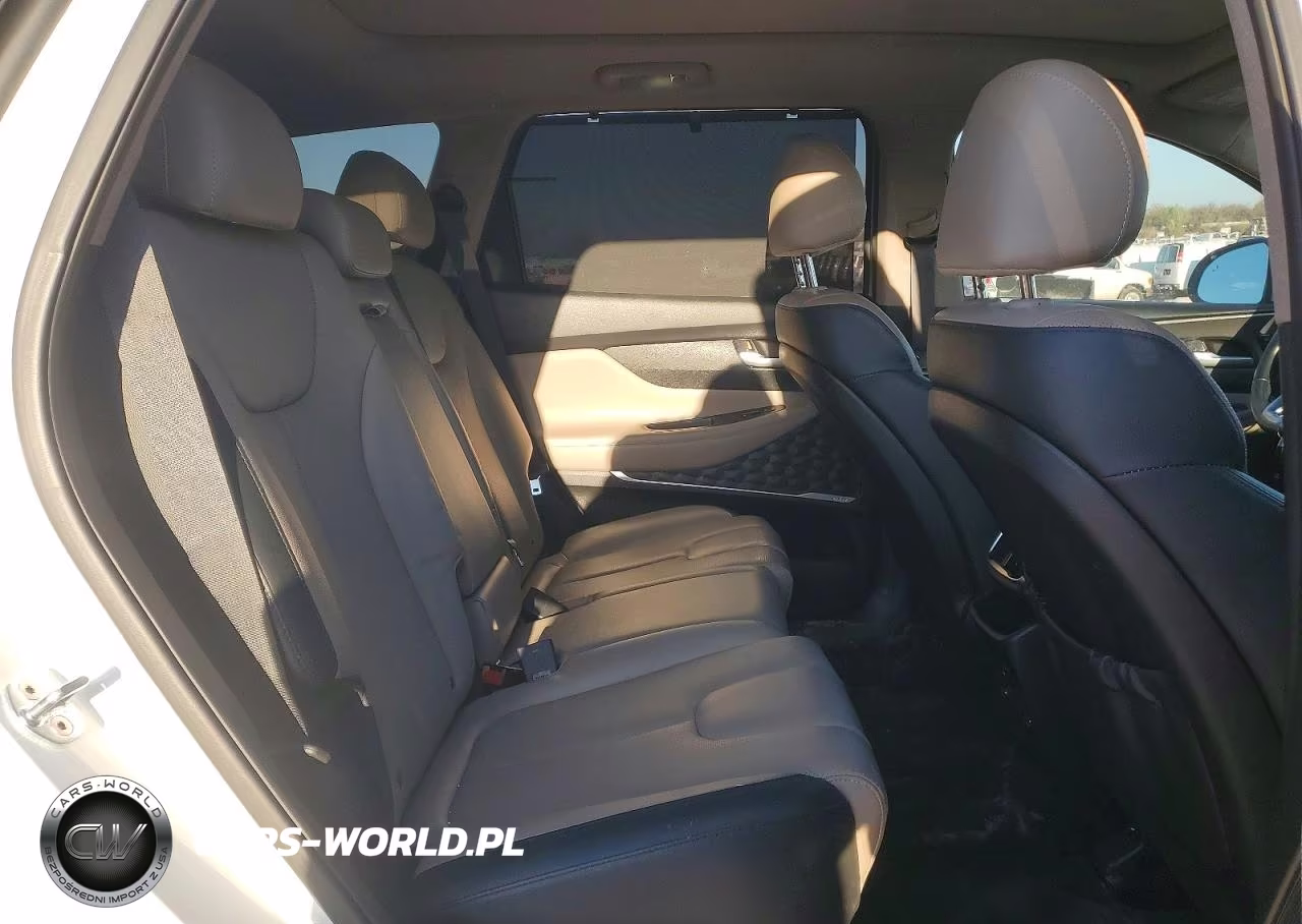 2020 Hyundai Santa Fe Limited 2.0T VIN:5NMS53AA0LH289677 - 11
