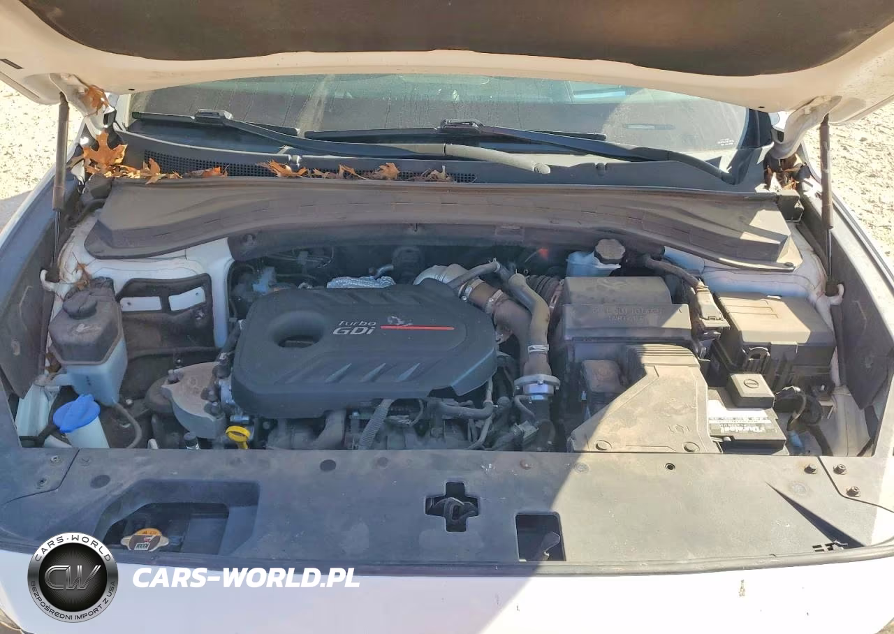 2020 Hyundai Santa Fe Limited 2.0T VIN:5NMS53AA0LH289677 - 12