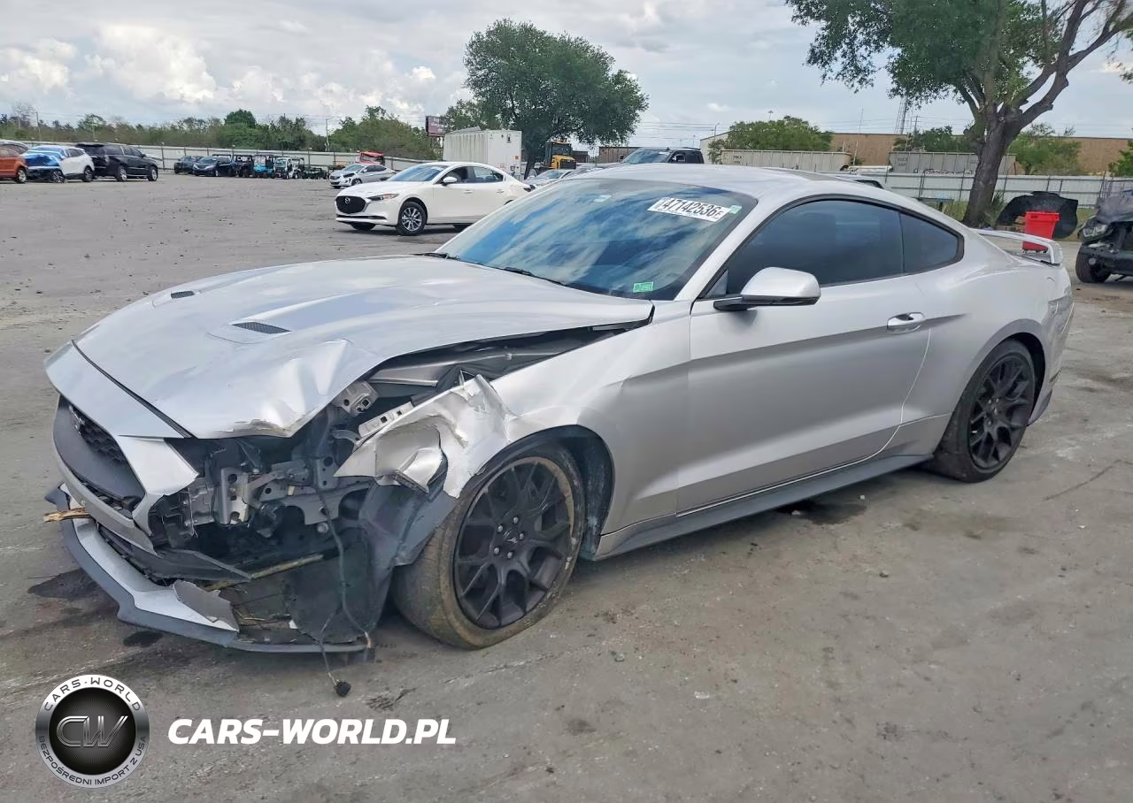 2019 Ford Mustang