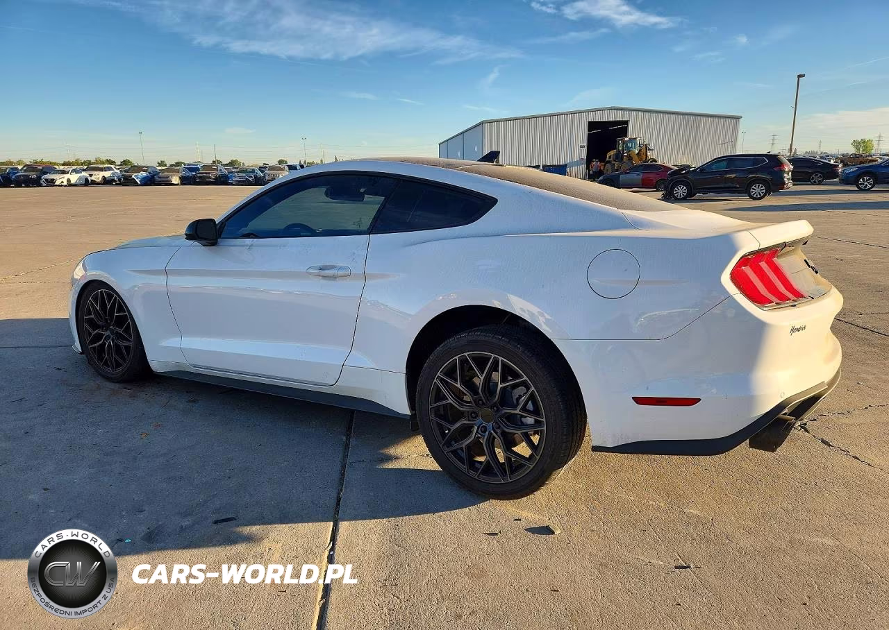 2022 Ford Mustang VIN:1FA6P8TH7N5144828 - 2