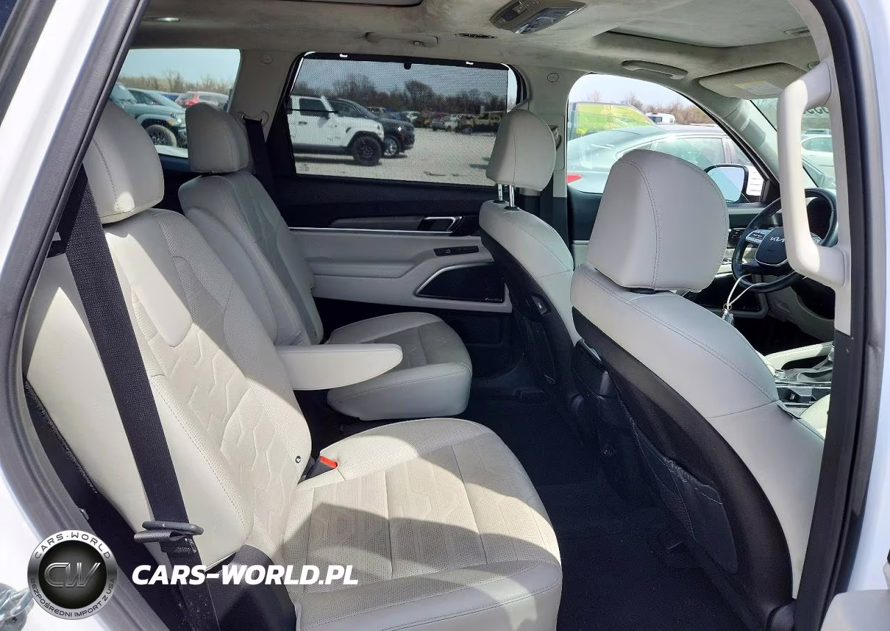 2022 Kia Telluride Sx VIN:5XYP5DHC5NG317120 - 11