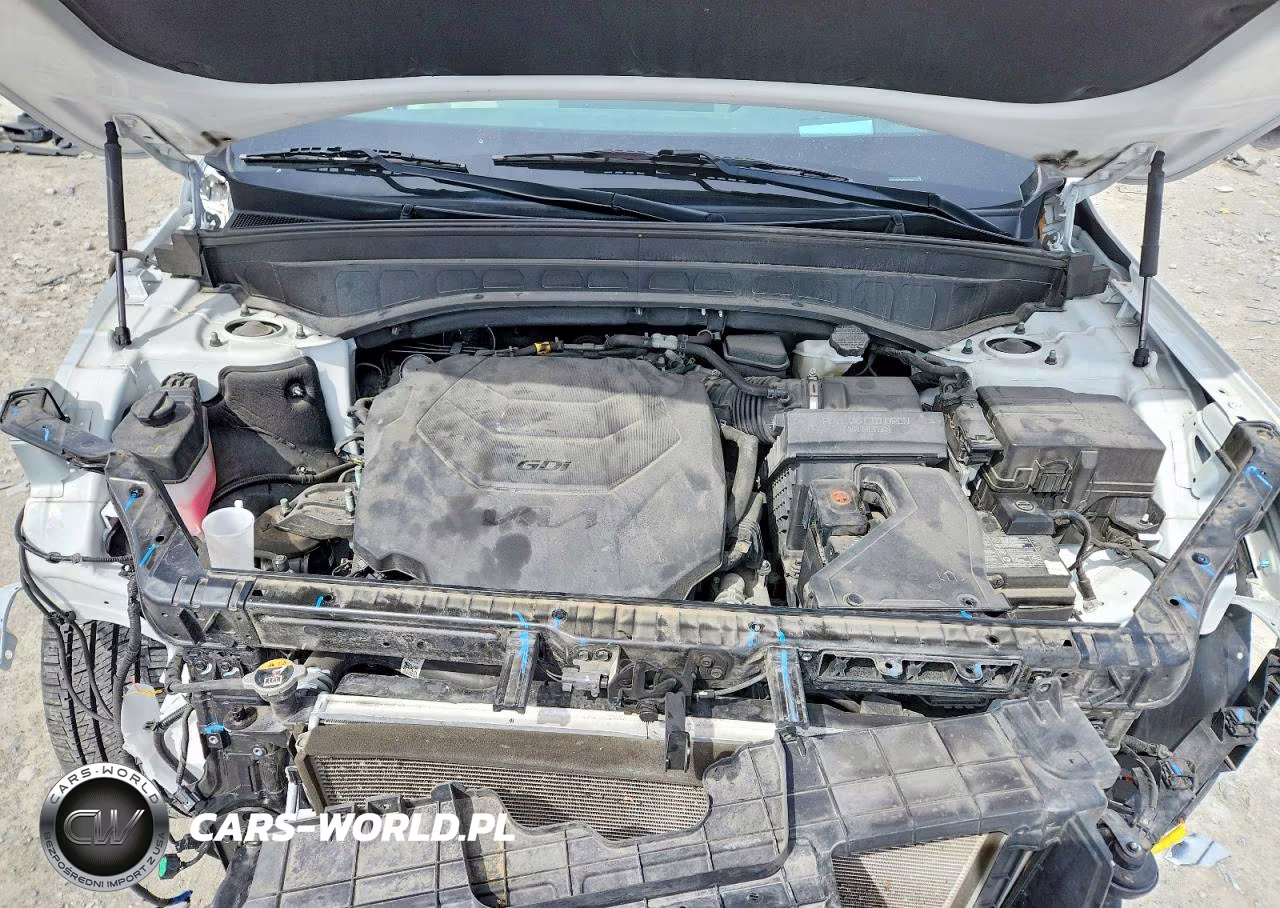 2022 Kia Telluride Sx VIN:5XYP5DHC5NG317120 - 12