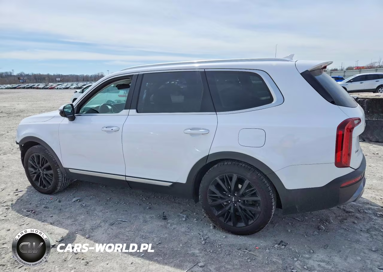 2022 Kia Telluride Sx VIN:5XYP5DHC5NG317120 - 2