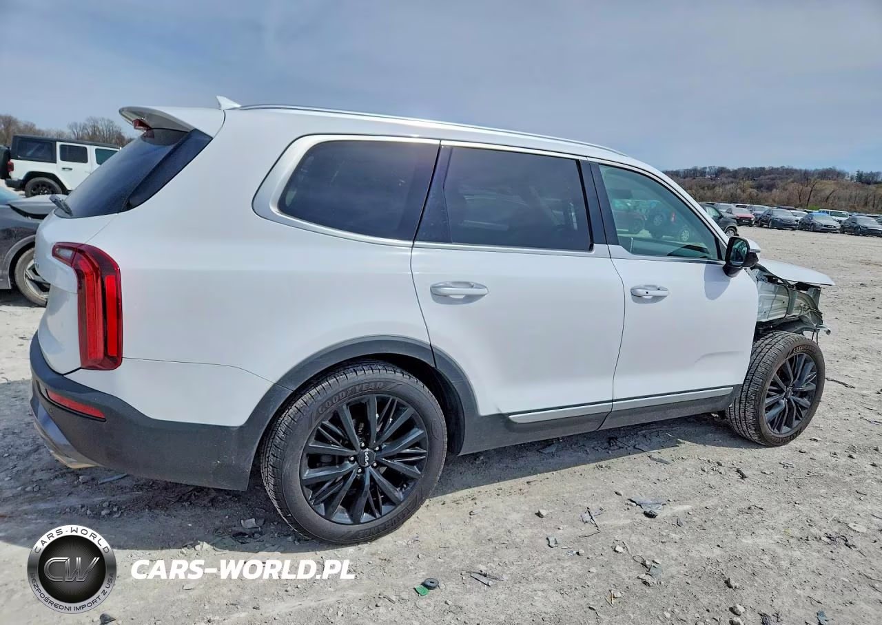 2022 Kia Telluride Sx VIN:5XYP5DHC5NG317120 - 3