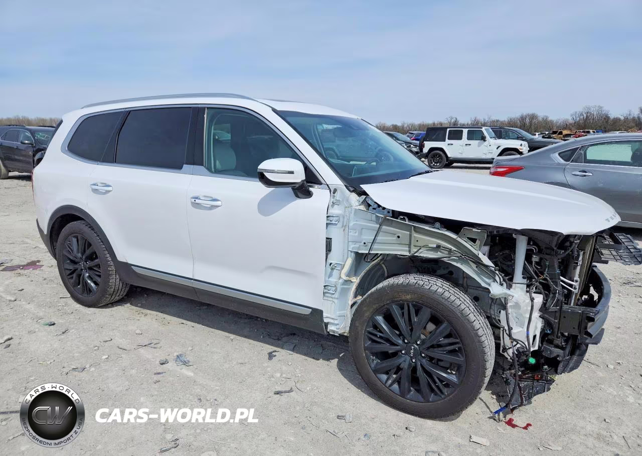 2022 Kia Telluride Sx VIN:5XYP5DHC5NG317120 - 4