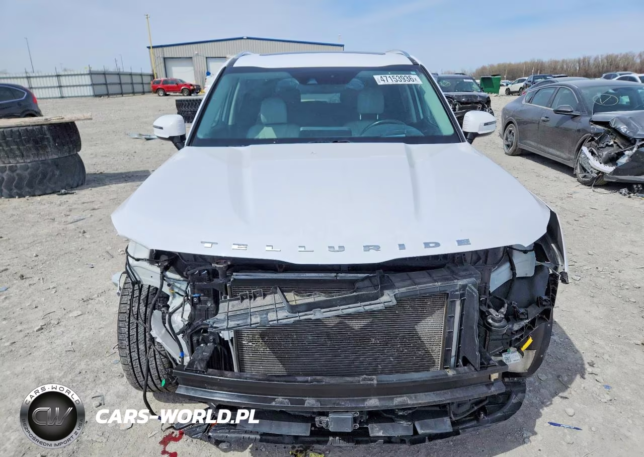 2022 Kia Telluride Sx VIN:5XYP5DHC5NG317120 - 5