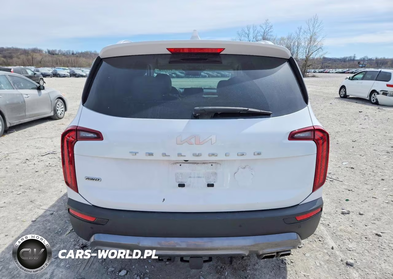 2022 Kia Telluride Sx VIN:5XYP5DHC5NG317120 - 6