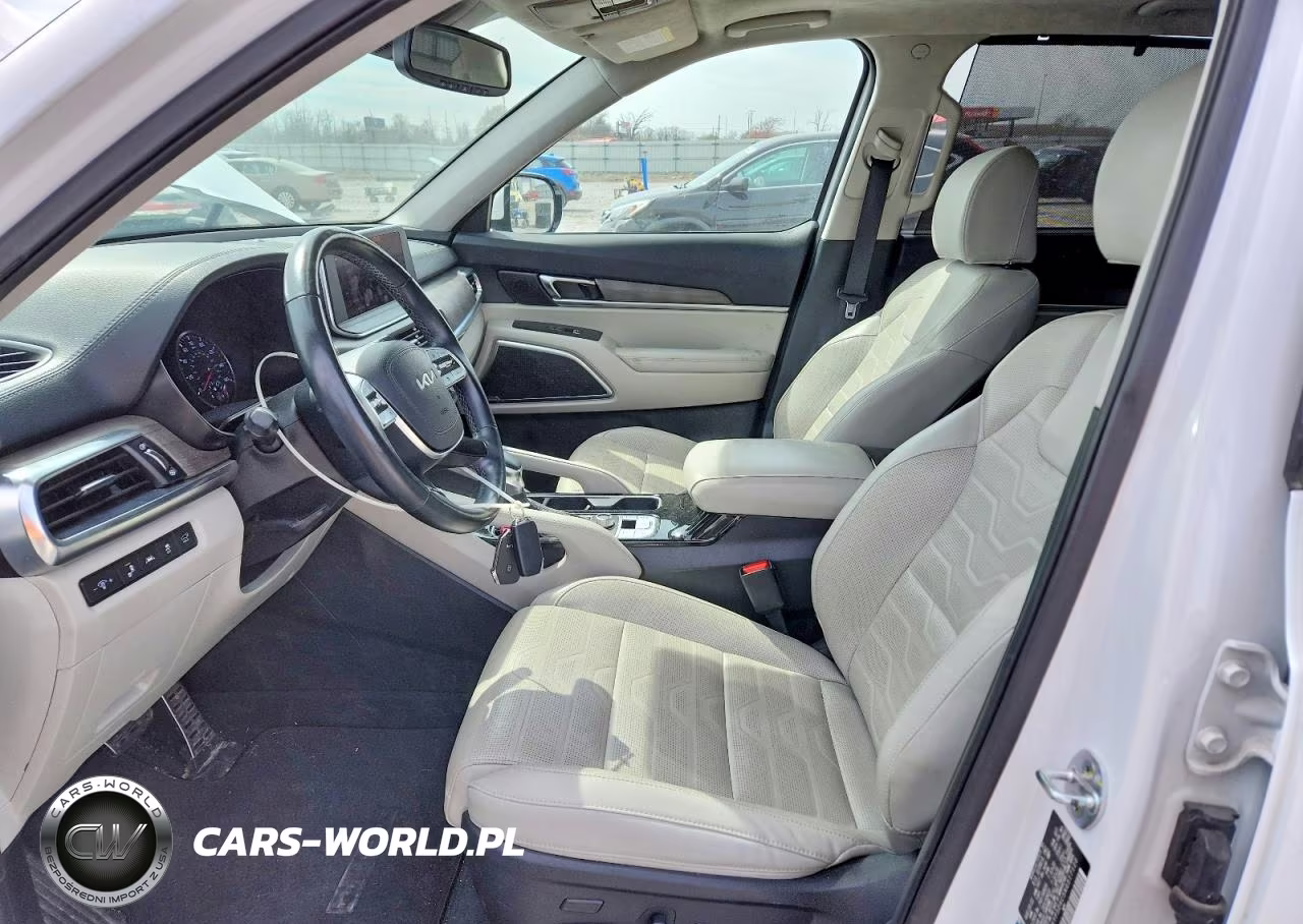 2022 Kia Telluride Sx VIN:5XYP5DHC5NG317120 - 7