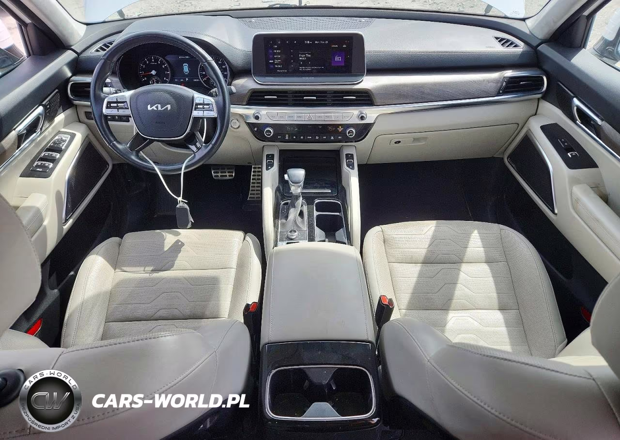 2022 Kia Telluride Sx VIN:5XYP5DHC5NG317120 - 8