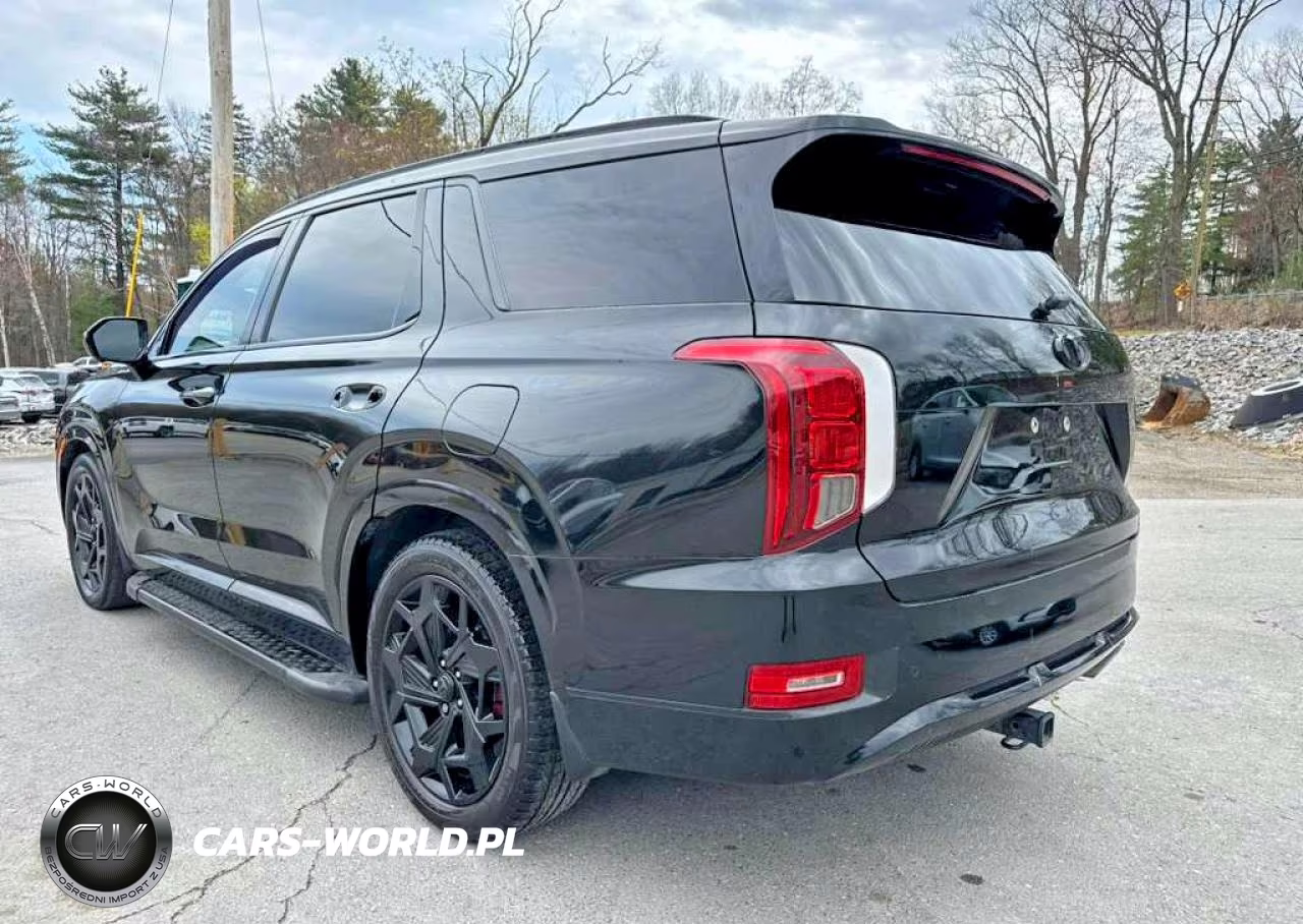 2021 Hyundai Palisade Calligraphy VIN:KM8R7DHE2MU209549 - 2