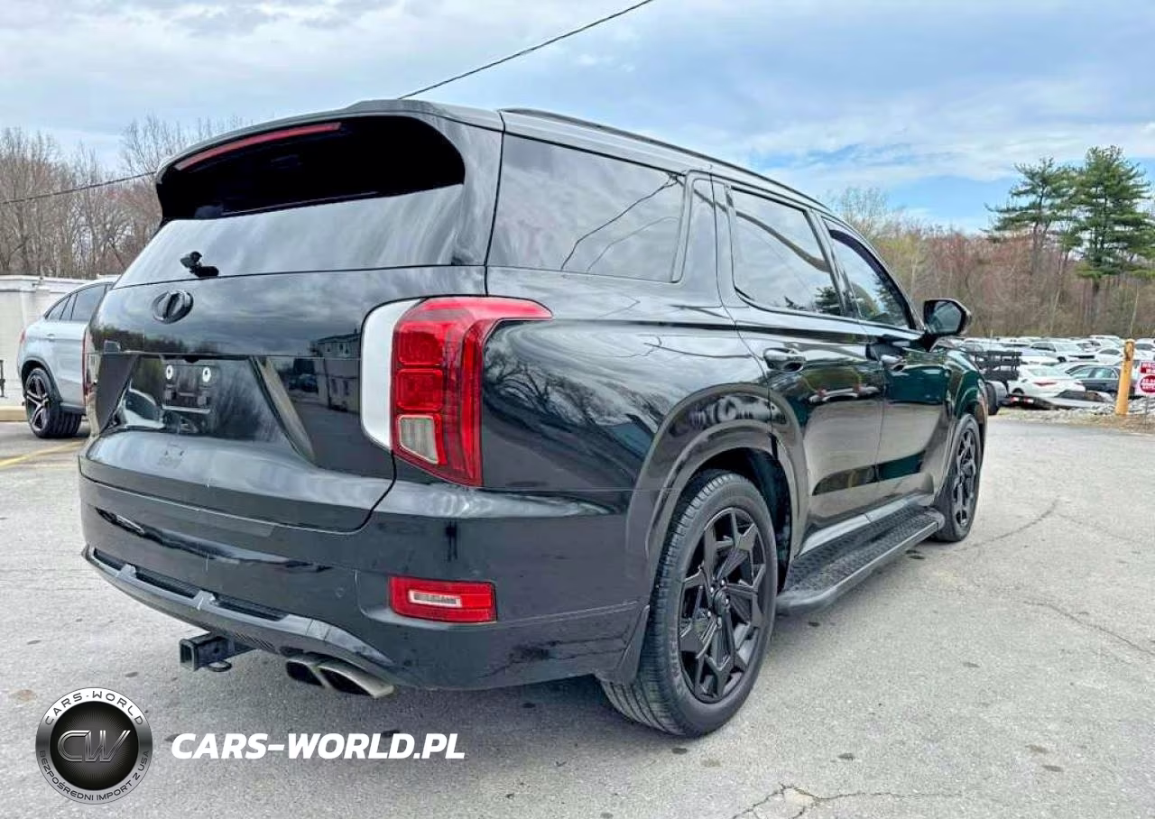 2021 Hyundai Palisade Calligraphy VIN:KM8R7DHE2MU209549 - 3