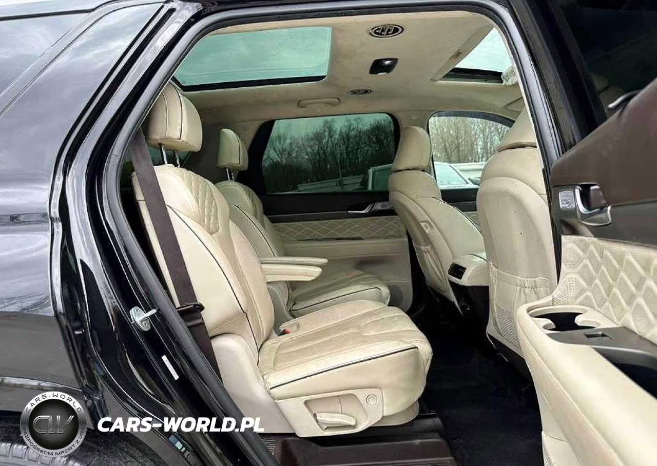 2021 Hyundai Palisade Calligraphy VIN:KM8R7DHE2MU209549 - 6