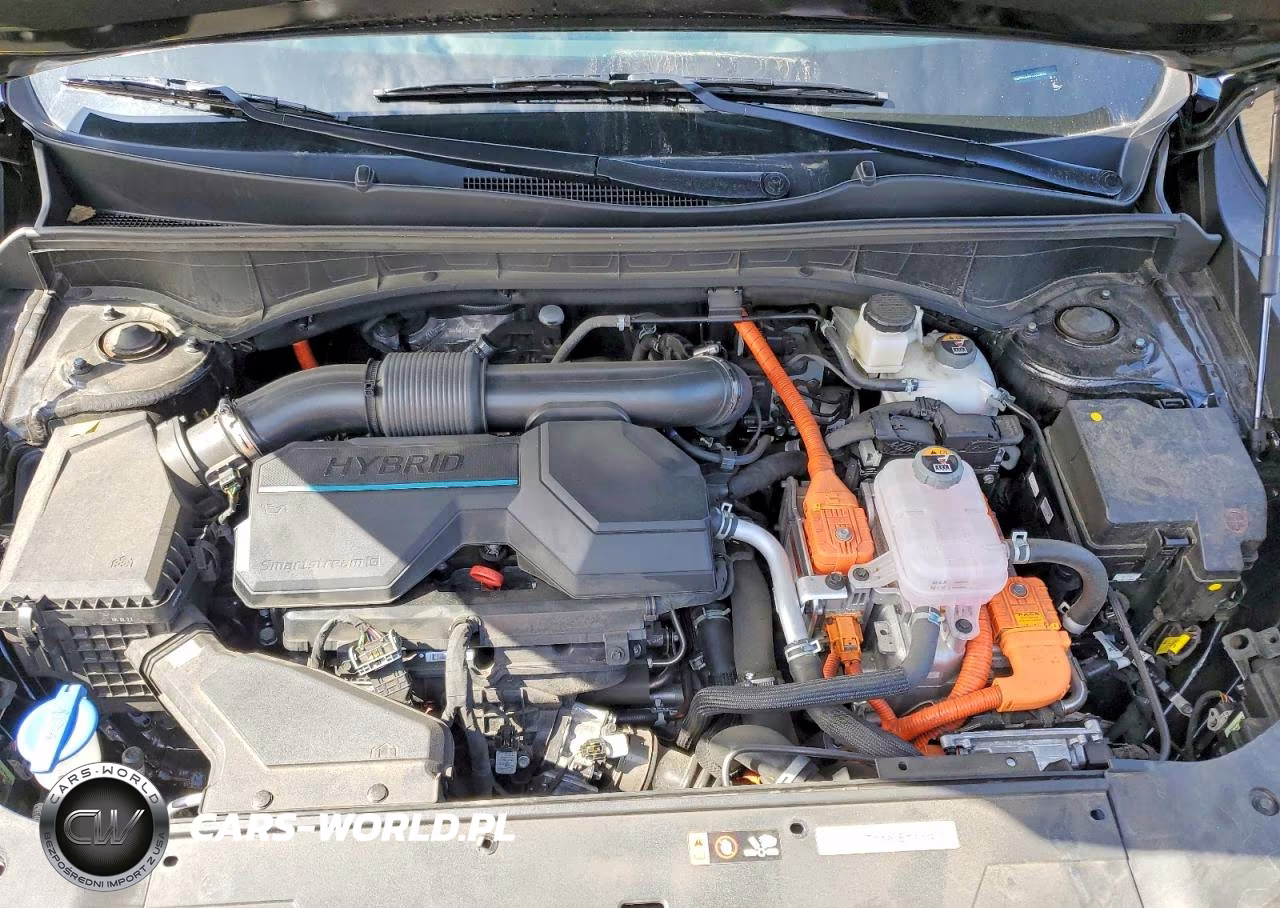 2025 Kia Sorento Hybrid Ex VIN:KNDRHDJG4S5339692 - 12