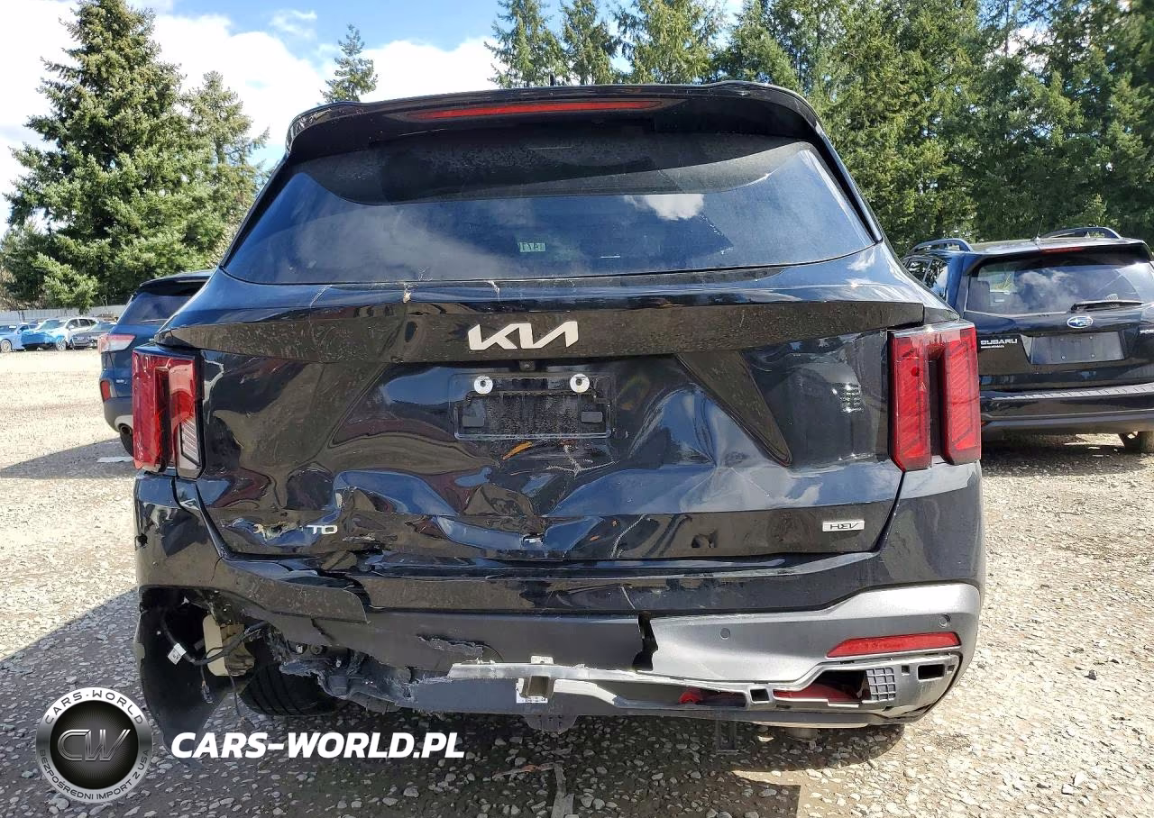 2025 Kia Sorento Hybrid Ex VIN:KNDRHDJG4S5339692 - 6