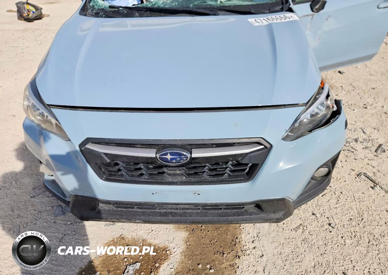 2020 Subaru Crosstrek Premium VIN:JF2GTAEC1L8259893 - 11