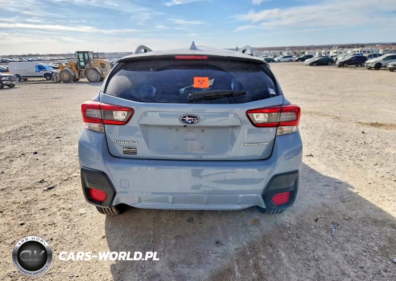 2020 Subaru Crosstrek Premium VIN:JF2GTAEC1L8259893 - 6
