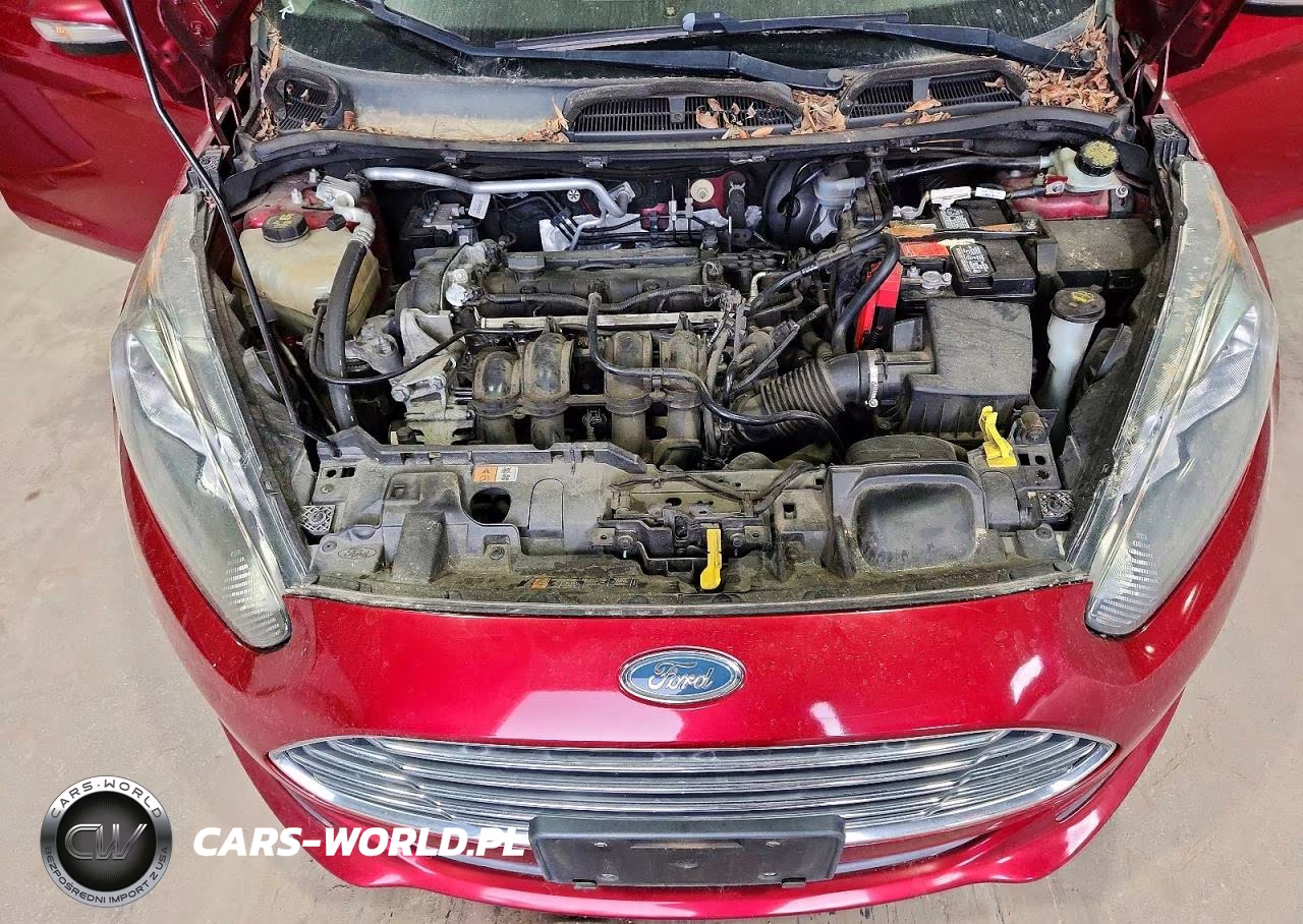 2014 Ford Fiesta Se VIN:3FADP4BJ3EM189618 - 11