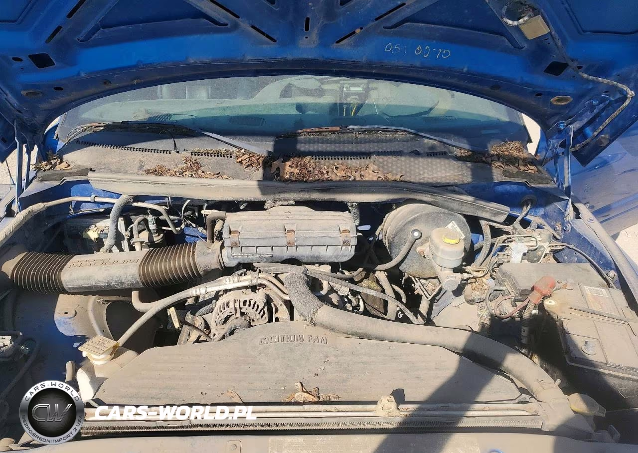 2001 Dodge Ram 1500 VIN:3B7HC13Y21M285929 - 11