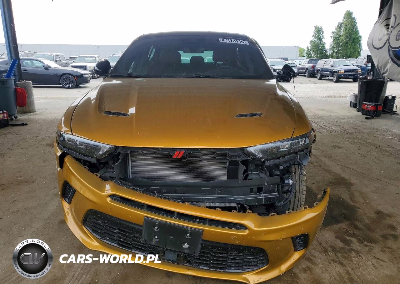 2024 Dodge Hornet R VIN:ZACPDFDW9R3A14367 - 5