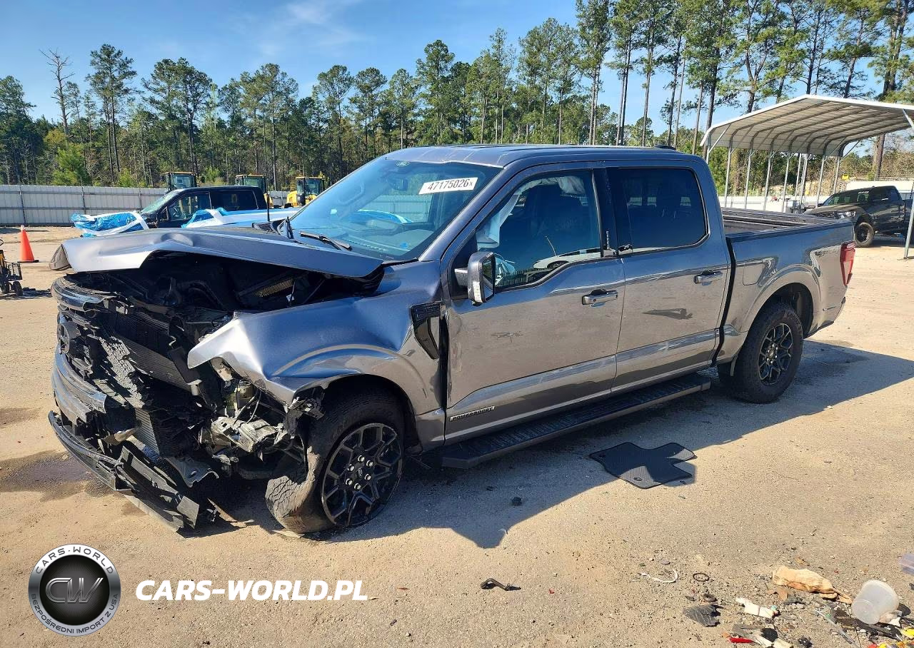 2024 Ford F150 Xlt