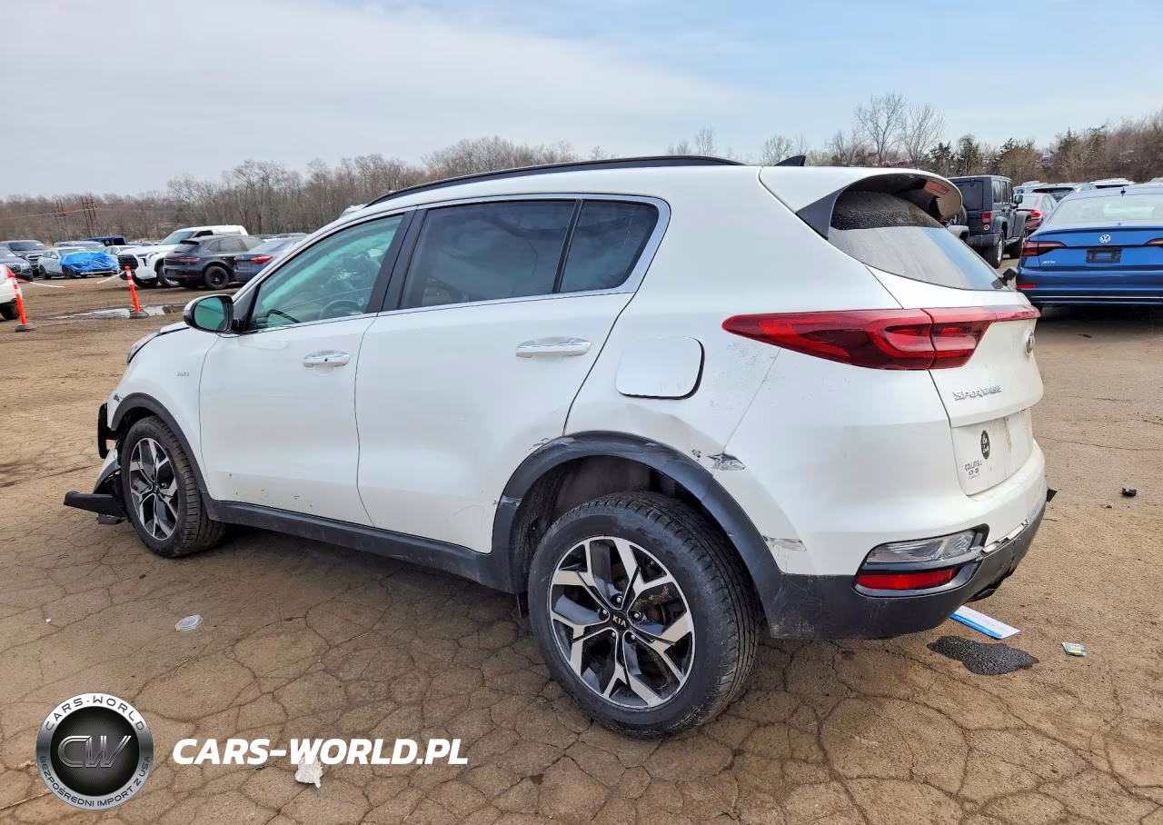 2022 Kia Sportage Ex VIN:KNDPNCAC4N7983452 - 2