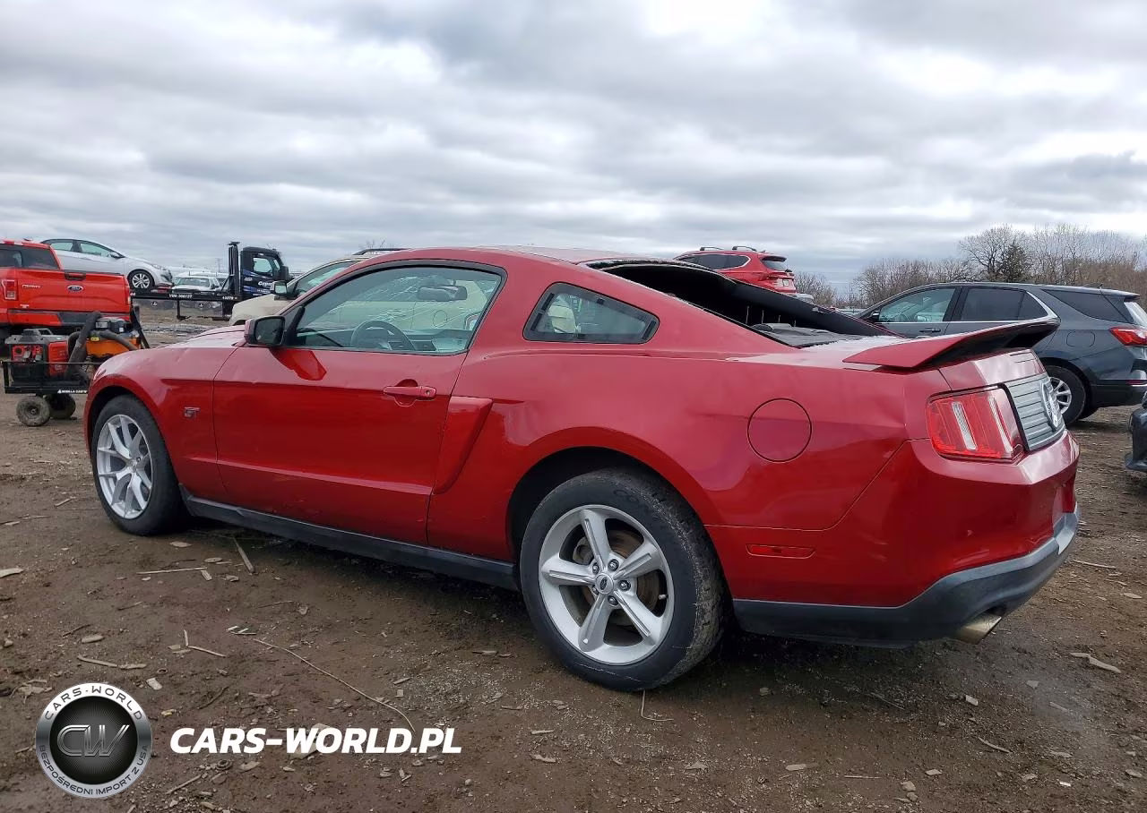 2010 Ford Mustang Gt VIN:1ZVBP8CHXA5151336 - 2
