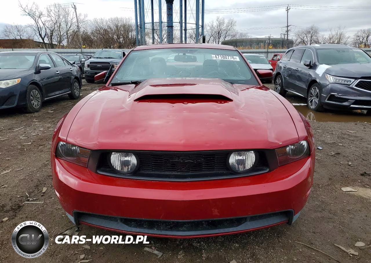 2010 Ford Mustang Gt VIN:1ZVBP8CHXA5151336 - 5