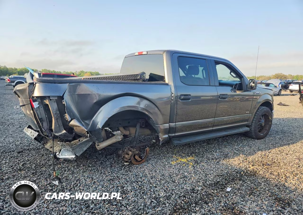 2016 Ford F150 Supercrew VIN:1FTEW1CG4GKD00903 - 3