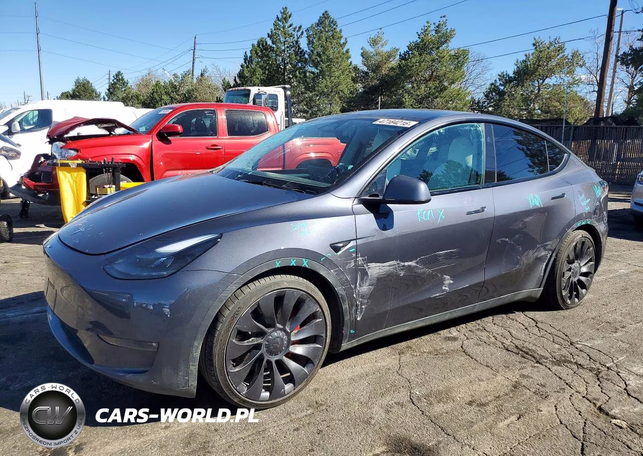 2023 Tesla Model Y
