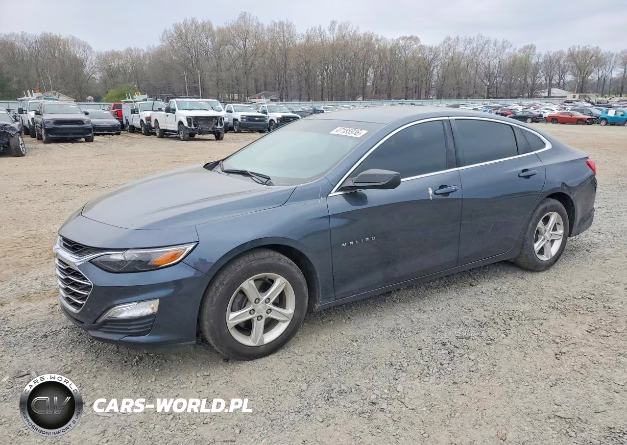 2019 Chevrolet Chevlmalbu