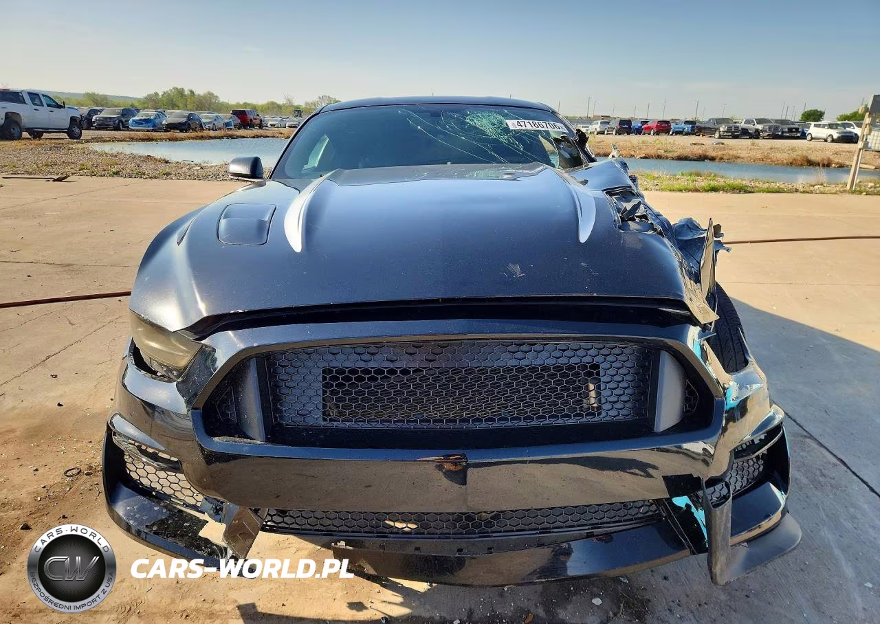 2016 Ford Mustang Gt VIN:1FA6P8CF1G5333024 - 5