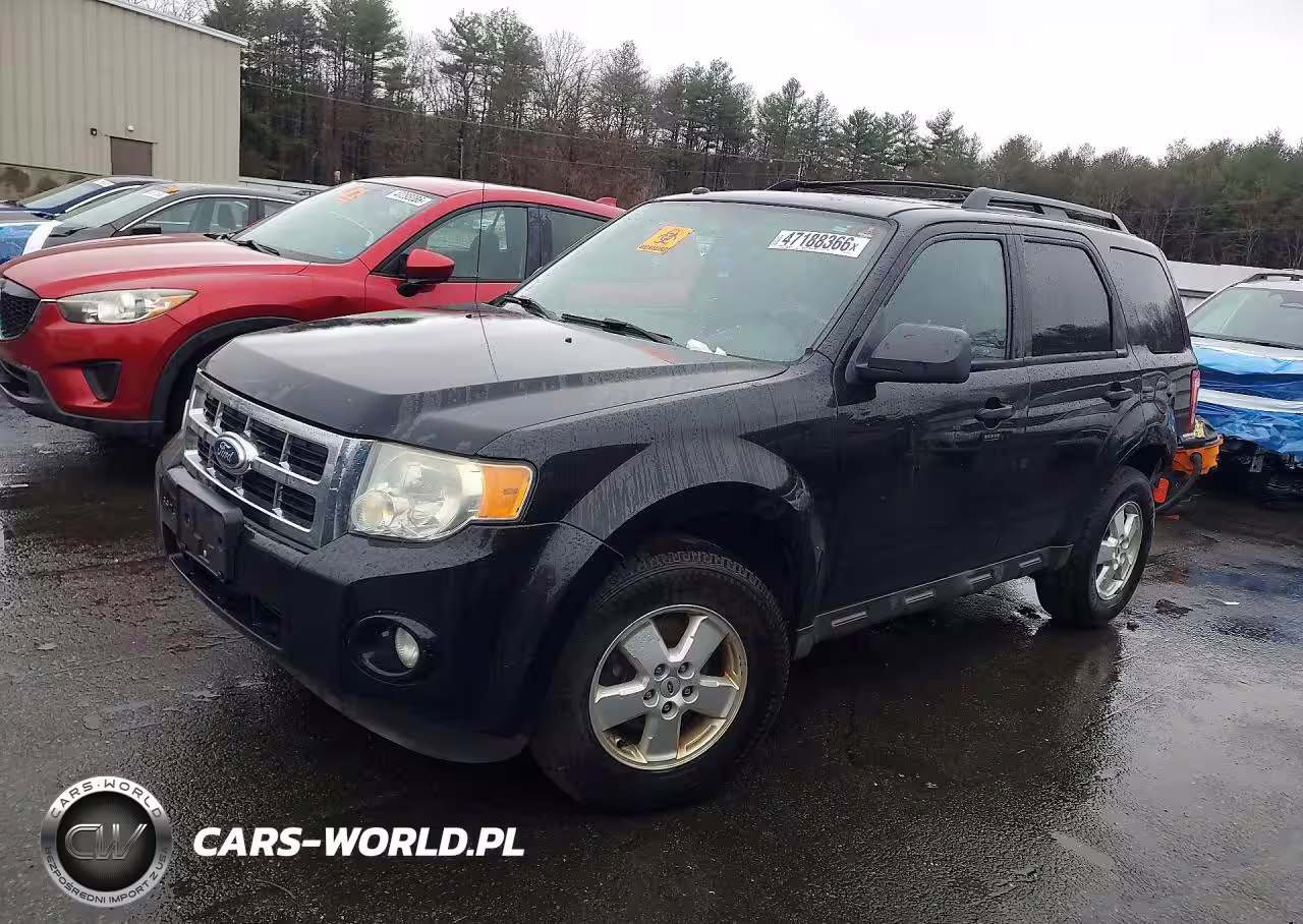 2010 Ford Escape Xlt