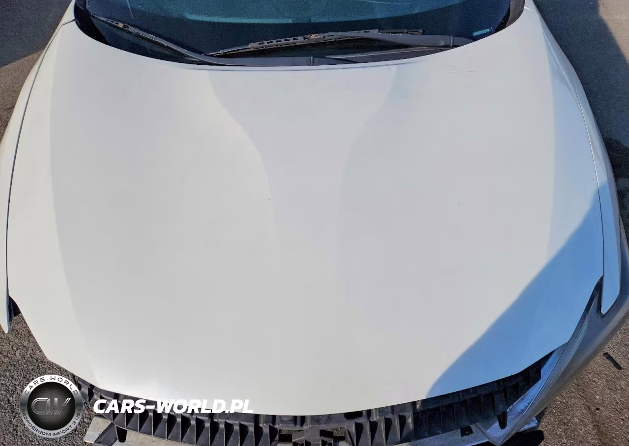 2016 Nissan Maxima Platinum VIN:1N4AA6AP2GC413181 - 11