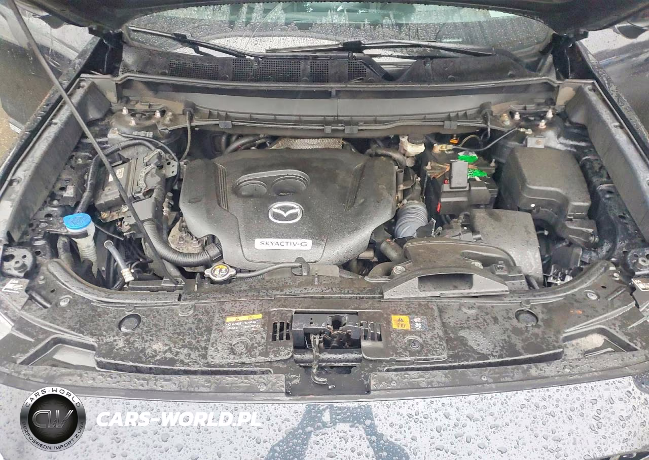 2021 Mazda Cx-9 Grand Touring VIN:JM3TCBDY6M0501732 - 12