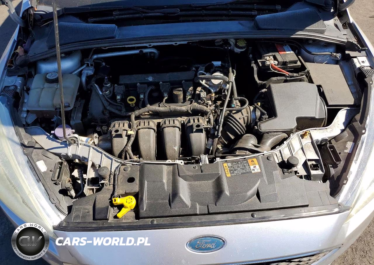 2016 Ford Focus VIN:1FADP3E29GL329237 - 11