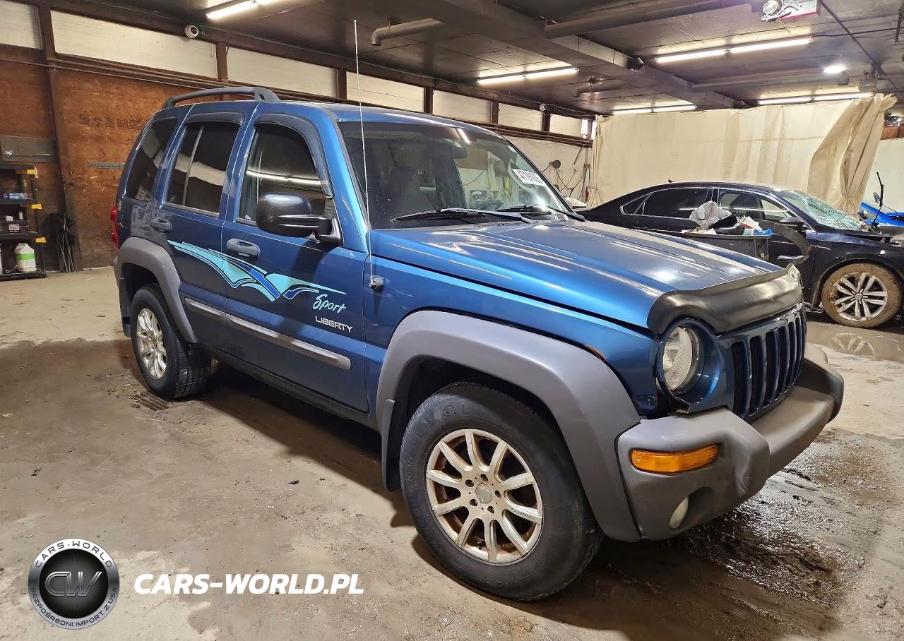 2004 Jeep Liberty Sport VIN:1J4GL48K14W185031 - 4