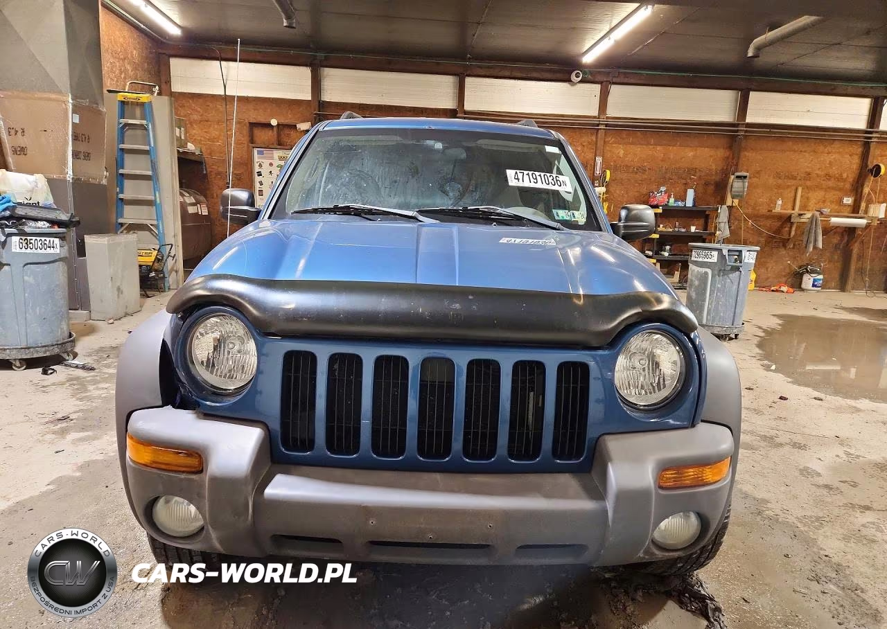 2004 Jeep Liberty Sport VIN:1J4GL48K14W185031 - 5