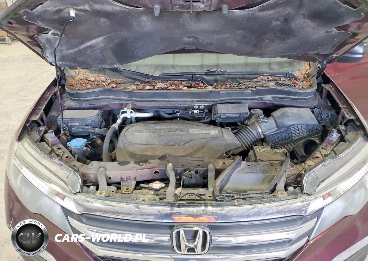2016 Honda Pilot Lx VIN:5FNYF6H1XGB020060 - 12